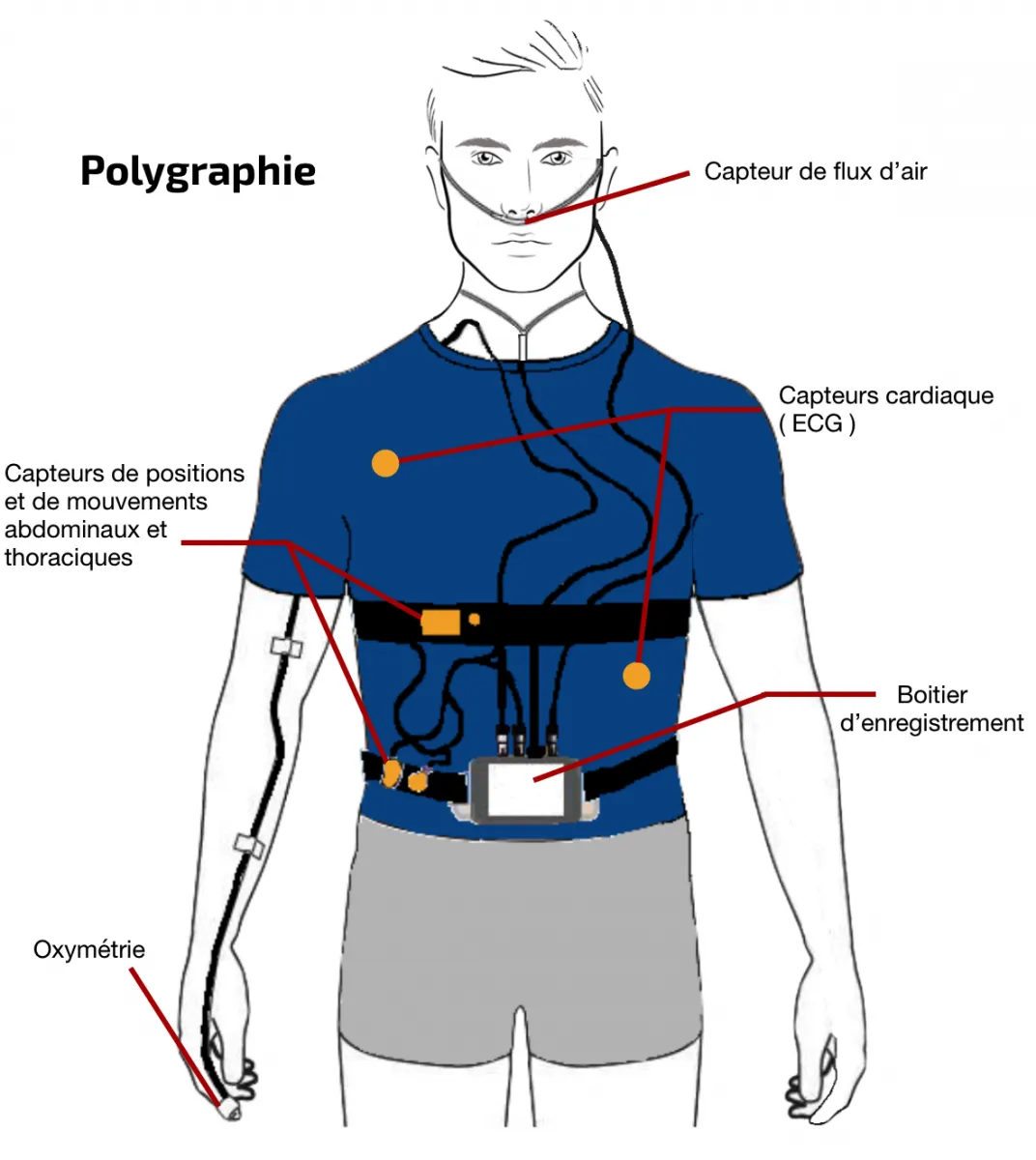 schéma du port d'un  polygraphe